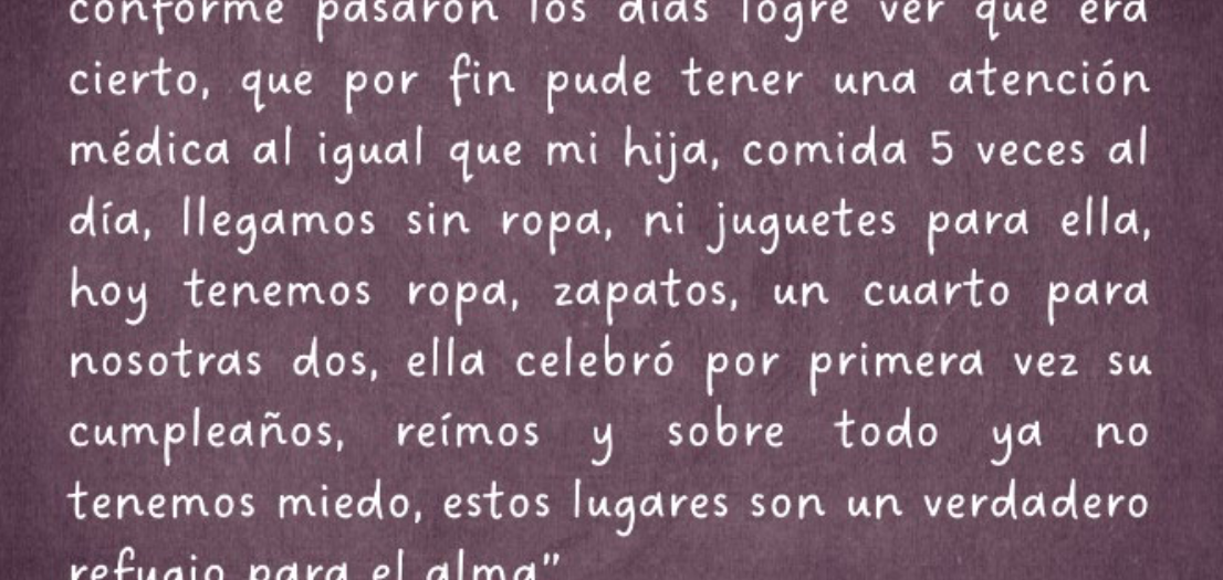 Posicionamiento ante la reducción del Presupuesto al Programa de Apoyo para Refugios Especializados para Mujeres Víctimas de Violencia de Género, sus hijas e hijos en el PPEF 2025